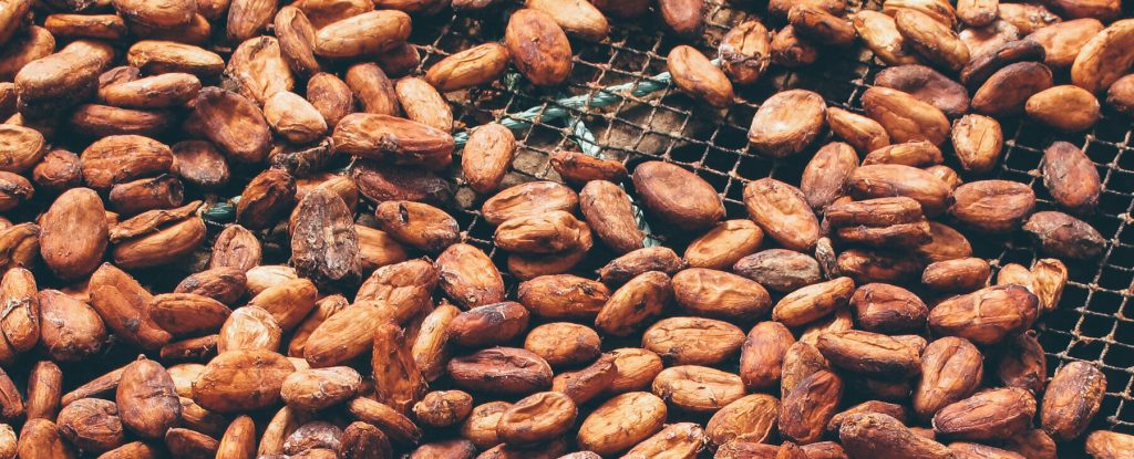 ¿De dónde proviene?: Manteca de Cacao